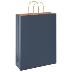 Sacs en papier 50 pcs avec poignées bleu 32x12x42 cm 