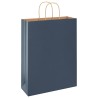 Sacs en papier 50 pcs avec poignées bleu 32x12x42 cm 