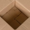 Boîte Pliable 50 pcs 15x15x8 cm Carton 