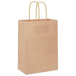 Sacs en papier 250 pcs avec poignées marron 15x8x21 cm 