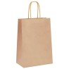 Sacs en papier 250 pcs avec poignées marron 15x8x21 cm 