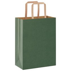 Sacs en papier 50 pcs avec poignées vert 21x11x28 cm 