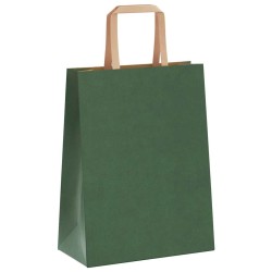 Sacs en papier 50 pcs avec poignées vert 21x11x28 cm 