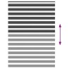 Store zèbre noir 160x200 cm largeur du tissu 155,9 cm polyester 