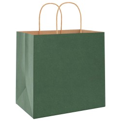 Sacs en papier 50 pcs avec poignées vert 26x17x25 cm 