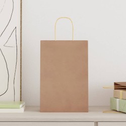 Sacs en papier 250 pcs avec poignées marron 21x11x31 cm 