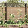 Supports de plantes en spirale 5 pcs Acier galvanisé 170 cm 