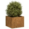 Jardinière rouillé 40x40x30 cm acier inoxydable 