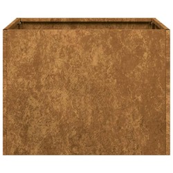 Jardinière rouillé 40x40x30 cm acier inoxydable 