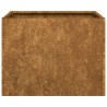 Jardinière rouillé 40x40x30 cm acier inoxydable 