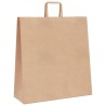 Sacs en papier 50 pcs avec poignées marron 45x17x48 cm 