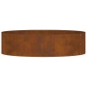 Planteur en acier corten marron Acier corten Grand Durable 