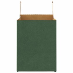Sacs en papier 50 pcs avec poignées vert 32x22x28 cm 