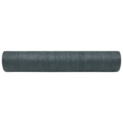 Filet brise-vue PEHD 2 x 10 m Vert 