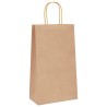 Sacs en papier 50 pcs avec poignées marron 21x11x36 cm 