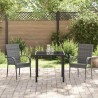 Ensemble de salle à manger pour jardin 3 pcs Gris Rotin PE 