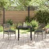 Set de jardin de 3 pièces avec coussins en poly rotin gris 