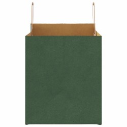 Sacs en papier 50 pcs avec poignées vert 32x22x24 cm 