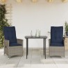 Lot de 2 chaises de jardin inclinables avec coussins en résine tressée grise 