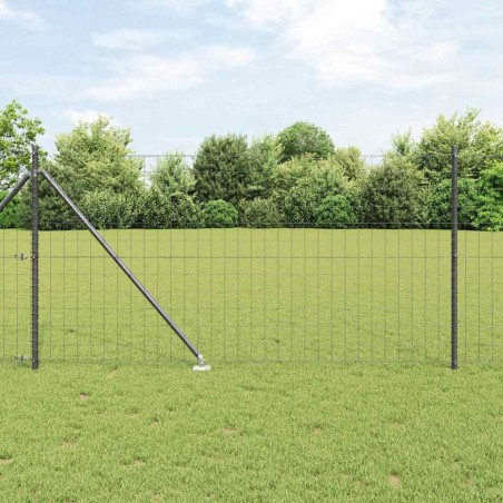 Clôture Euro avec 13 poteaux en piques 1x25 m en acier galvanisé gris 