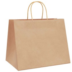 Sacs en papier 50 pcs avec poignées marron 32x22x24 cm 