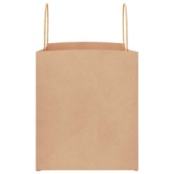 Sacs en papier 50 pcs avec poignées marron 32x22x24 cm 