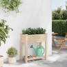 Jardinier avec étagère 71x37x76 cm en bois massif de sapin 