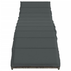 Ensemble de canapé de jardin 13 pcs Beige polyrotin 480702480702