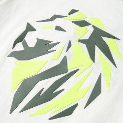 Salon de jardin 11 pcs avec coussins gris résine tressée 483873483873