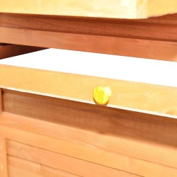 Ensemble de canapé de jardin 10 pcs Beige polyrotin 484177484177