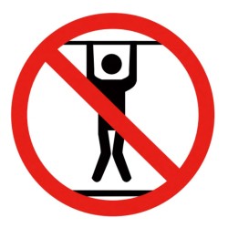 Poteau de clôture. Argenté 100 x 0,5 m (maillage de 25 mm) 489387489387