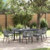 Salon de jardin 11 pcs avec coussins beige résine tressée 489458489458