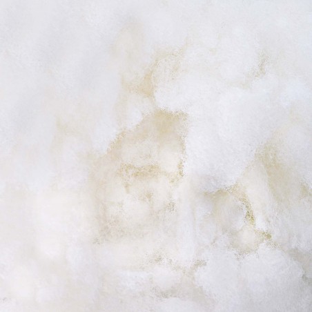 Clôture de jardin 7 pcs Blanc 11,9 x 0,8 m 489545489545