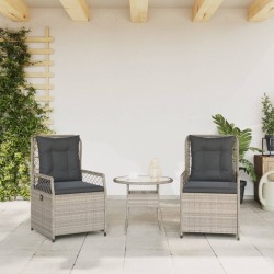 Salon de jardin avec coussins 9 pcs beige résine tressée acacia 494890494890