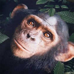 Ensemble de salle à manger pour jardin 7 pcs Marron Rattan Polt 495504495504