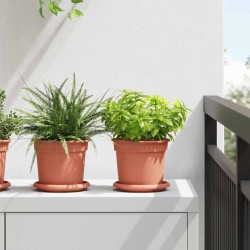 Salon de jardin 6 pcs avec coussins noir résine tressée 498429498429