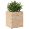 Jardinière 40x40x46 cm bois de pin massif 507953507953