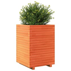 Jardinière cire marron 50x50x72 cm bois de pin massif 508146508146