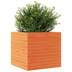 Jardinière cire marron 50x50x46 cm bois de pin massif 508191508191