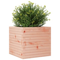 Jardinière 50x50x46 cm bois massif douglas 508192508192