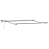 Auvent manuel rétractable avec LED marron 500x300 cm 509235509235