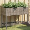 Jardinières avec étagère 2 pcs gris 90x40x75 cm résine tressée 509585509585