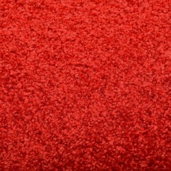 Paillasson lavable Rouge 120x180 cm 510243510243