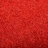 Paillasson lavable Rouge 120x180 cm 510243510243