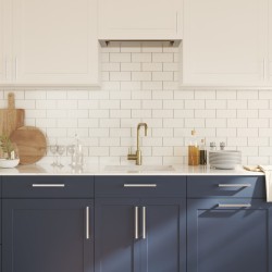 Poignées d'armoire 10 pcs argenté 192 mm acier inoxydable 510802510802