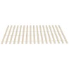 Lattes de rechange pour sommier avec 34 lattes, 2 pièces, 100 x 200 cm 510887510887