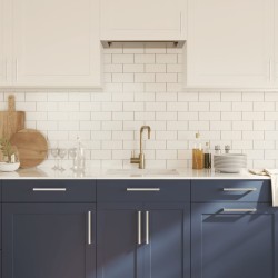 Poignées d'armoire 20 pcs argenté 224 mm acier inoxydable 510975510975