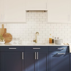 Poignées d'armoire 20 pcs argenté 192 mm acier inoxydable 510976510976