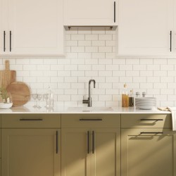 Poignées d'armoire 20 pcs noir 160 mm acier inoxydable 510994510994