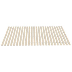 Lattes de rechange pour sommier avec 48 lattes, 2 pièces, 100 x 200 cm 511188511188